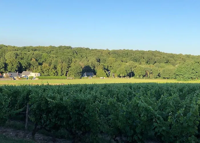 Gite De La Fontaine Bondree