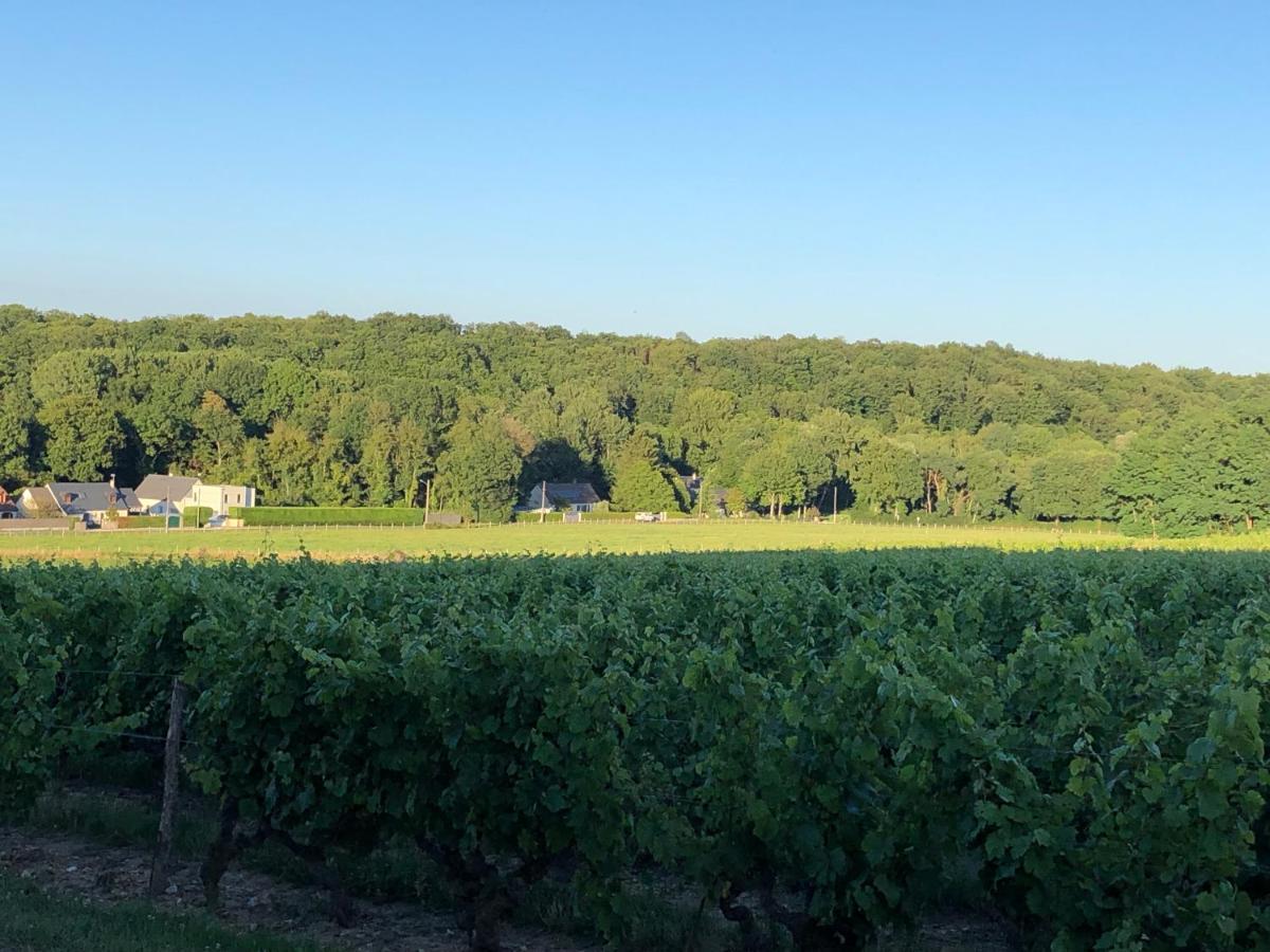 Holiday home De La Fontaine Bondree Vernou-sur-Brenne
